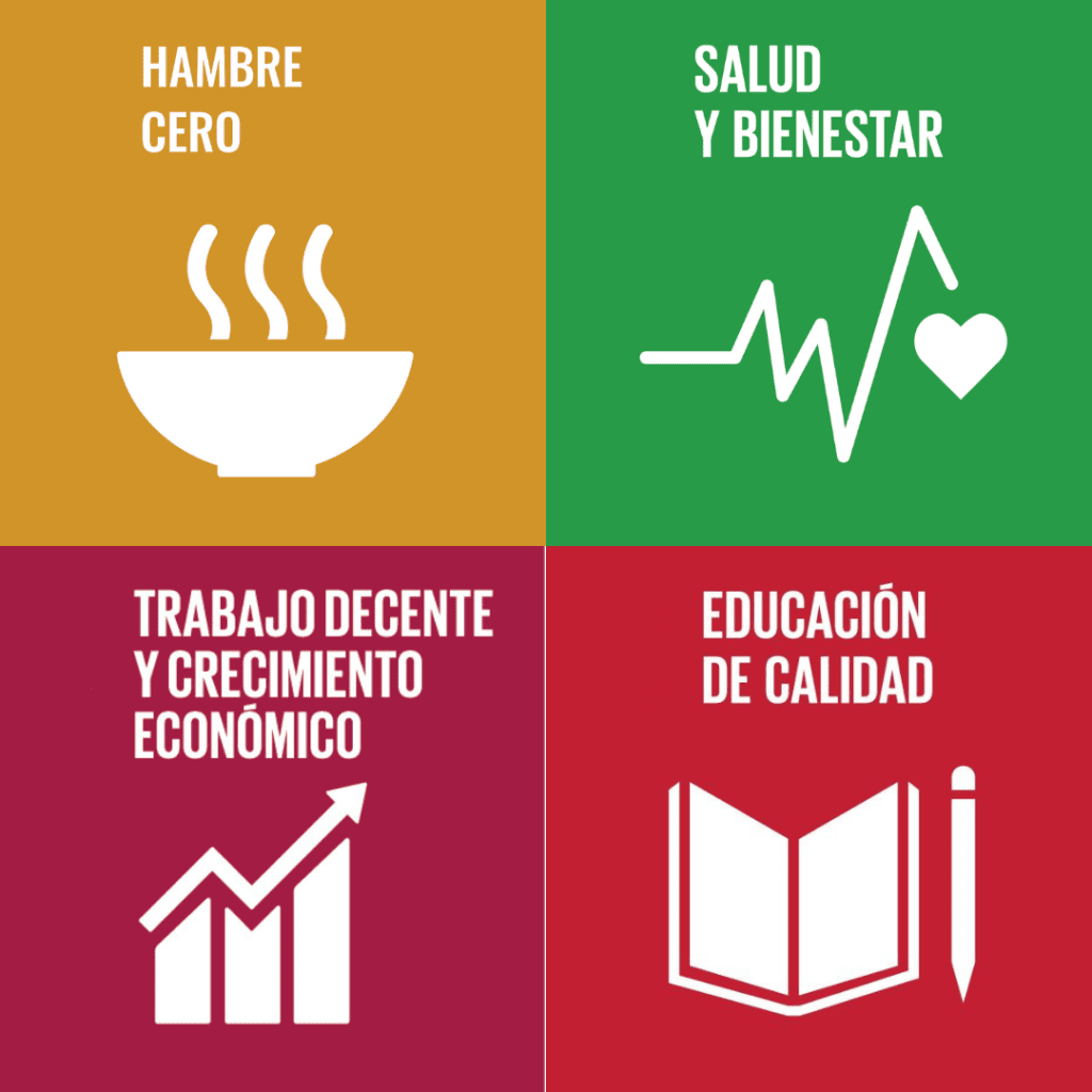 Diseno sin titulo 1 1