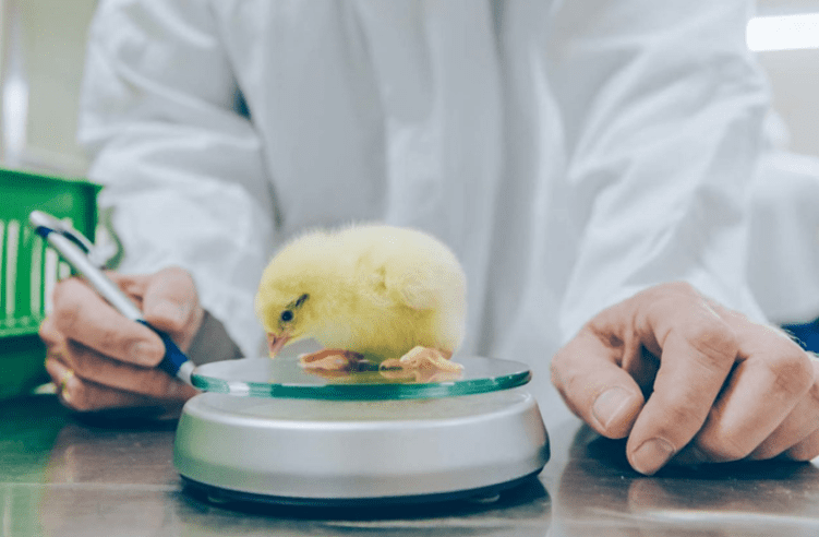 Screenshot 2023 10 11 111956