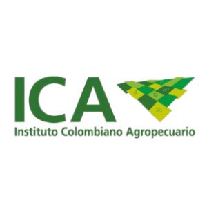 QUIENES SOMOS 8 ica